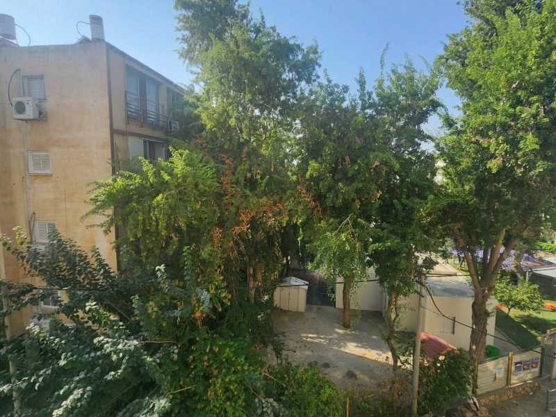 487299532_1244626197228797_8707859851519867344_n