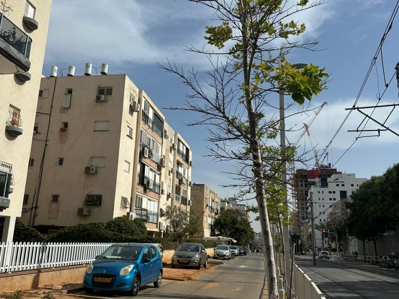 WhatsApp Image 2026-04-30 at 00.00.26