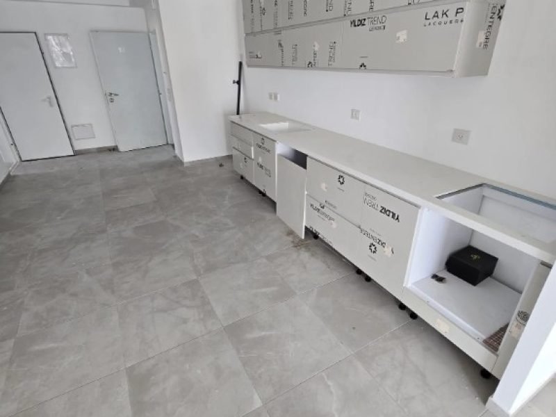 צילום מסך 2025-12-24 124409