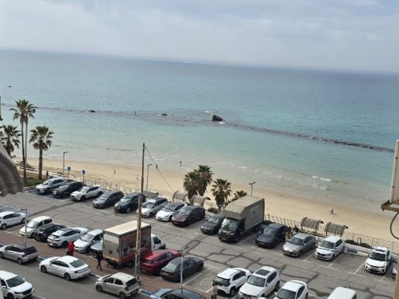 צילום מסך 2026-02-08 095913