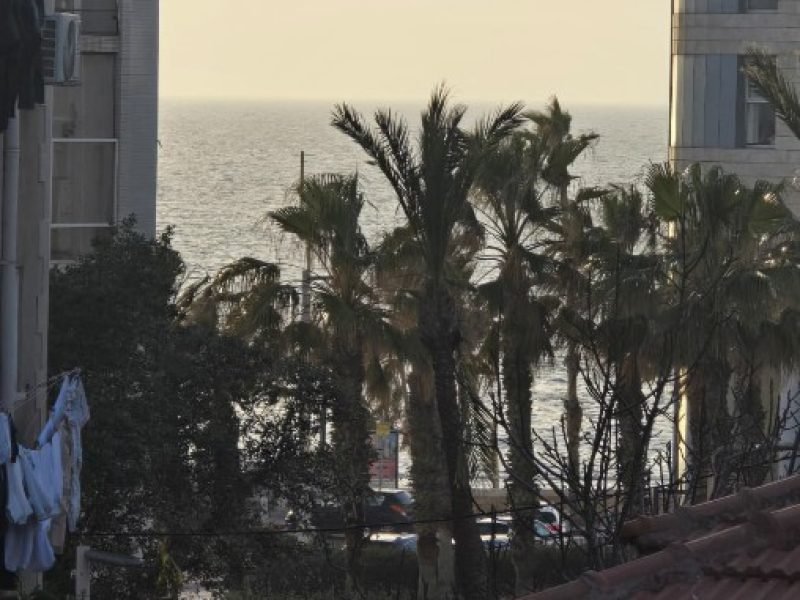 צילום מסך 2026-02-08 102332