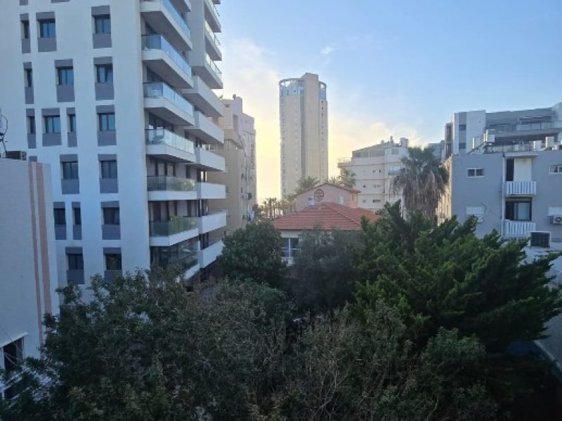 צילום מסך 2026-02-08 102347