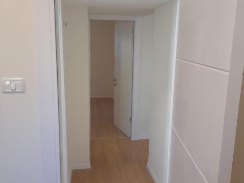 צילום מסך 2026-02-08 112608