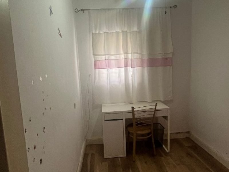 צילום מסך 2026-02-08 140142