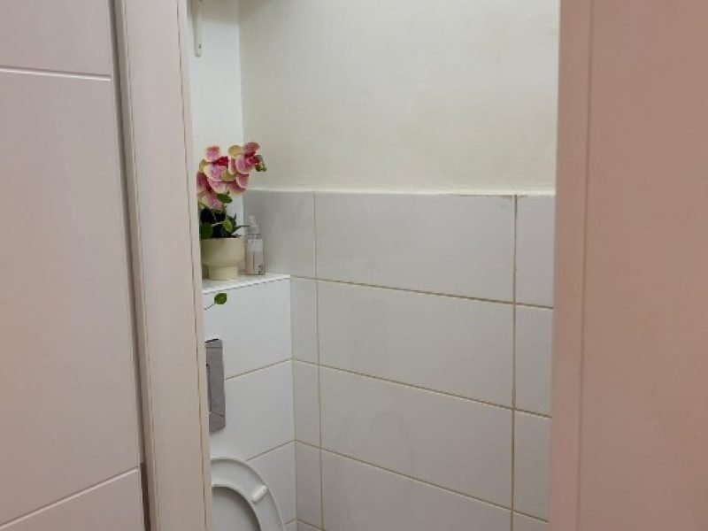 צילום מסך 2026-02-10 082752