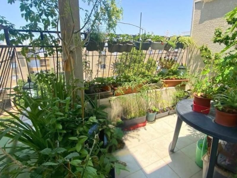 צילום מסך 2026-02-10 090004