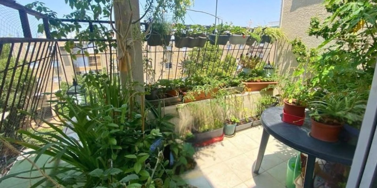 צילום מסך 2026-02-10 090004