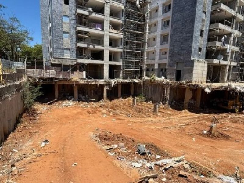 צילום מסך 2026-02-11 074030