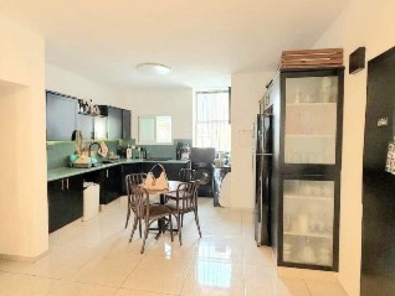 צילום מסך 2026-02-11 132253