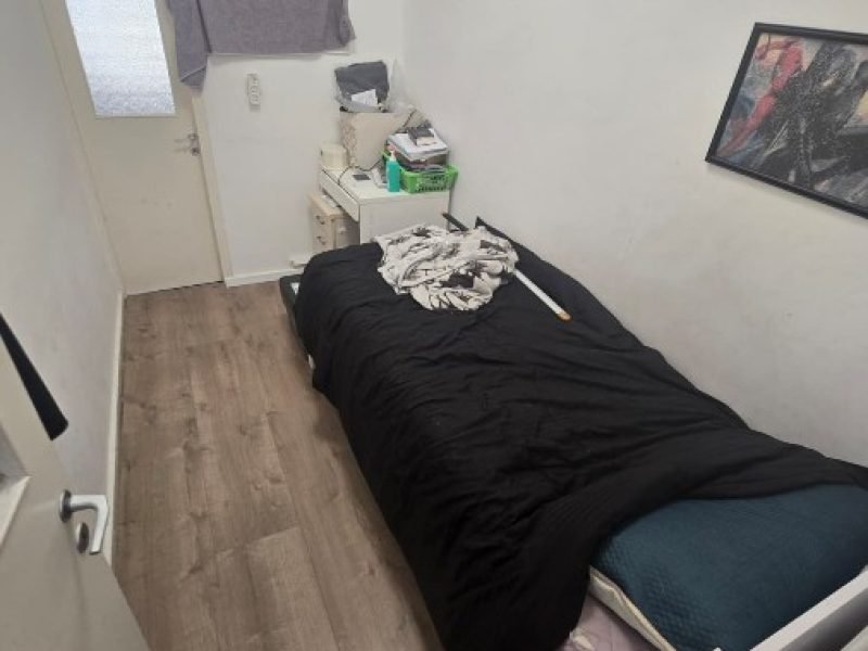 צילום מסך 2026-02-15 080929