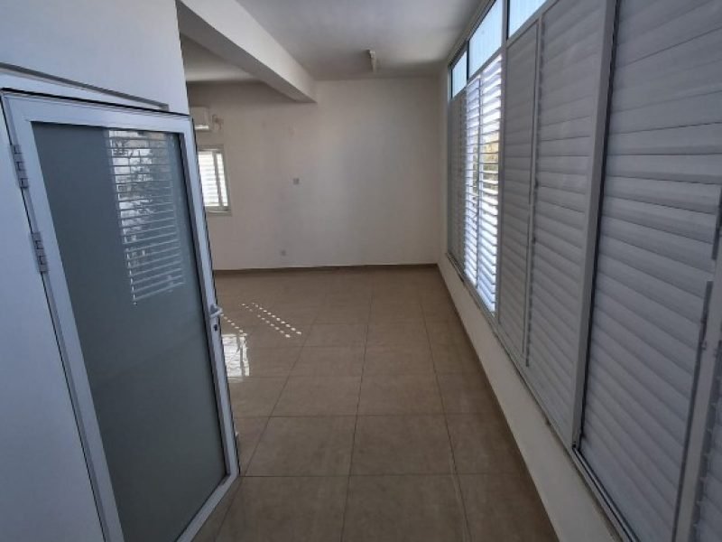 צילום מסך 2026-02-16 130131