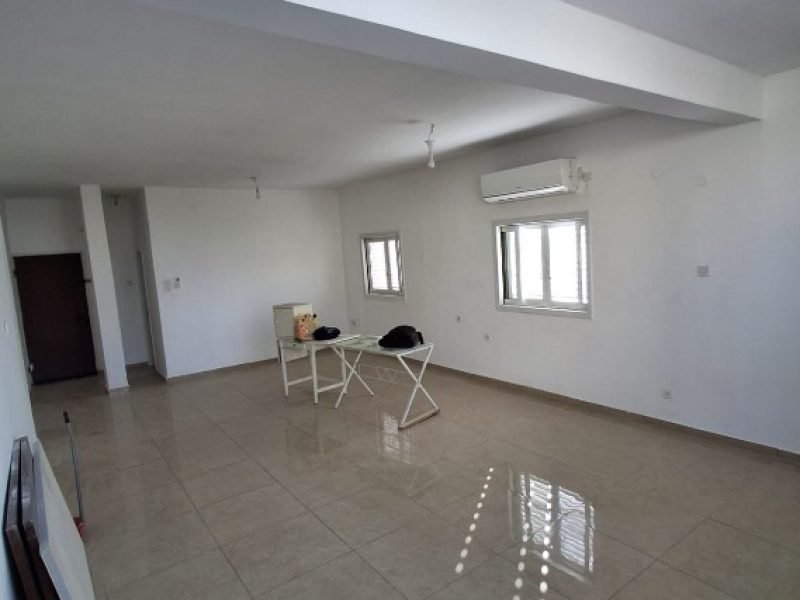 צילום מסך 2026-02-16 130319