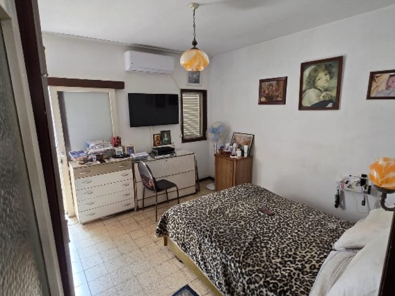 צילום מסך 2026-02-16 151821