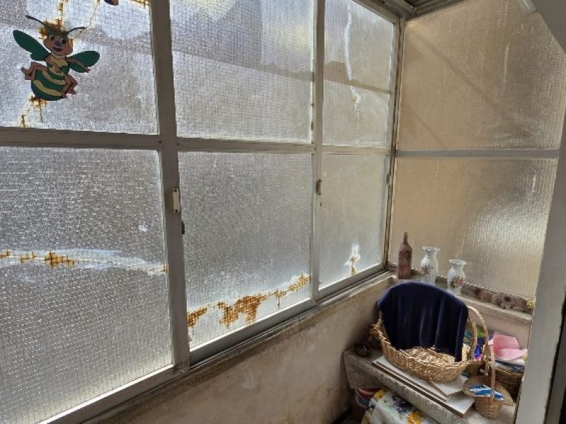 צילום מסך 2026-02-16 151912