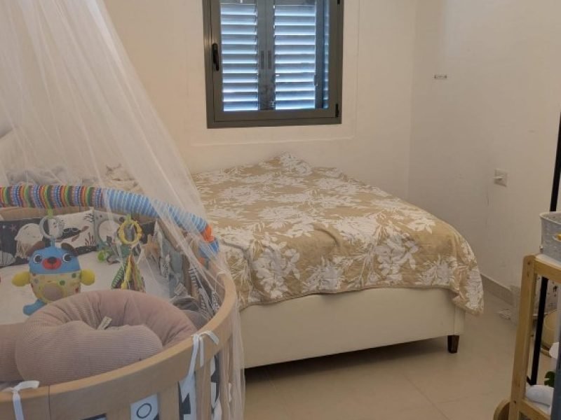 צילום מסך 2026-02-19 162251