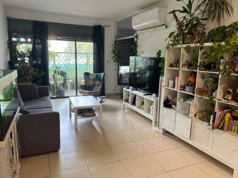 צילום מסך 2026-02-19 162304