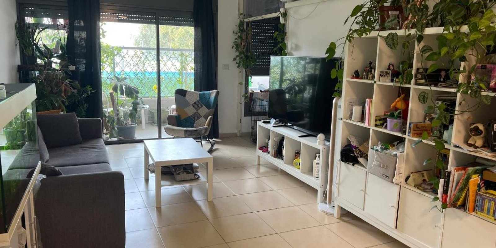 צילום מסך 2026-02-19 162304