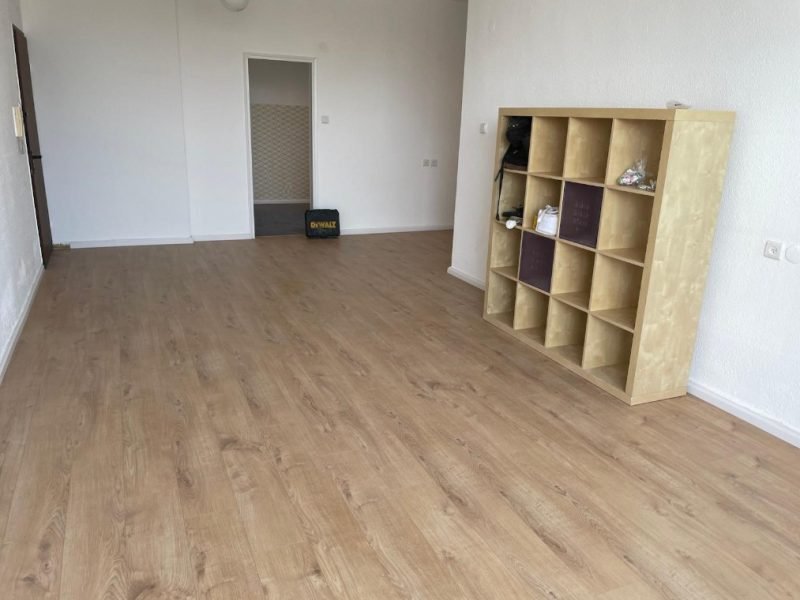 צילום מסך 2026-02-20 103551