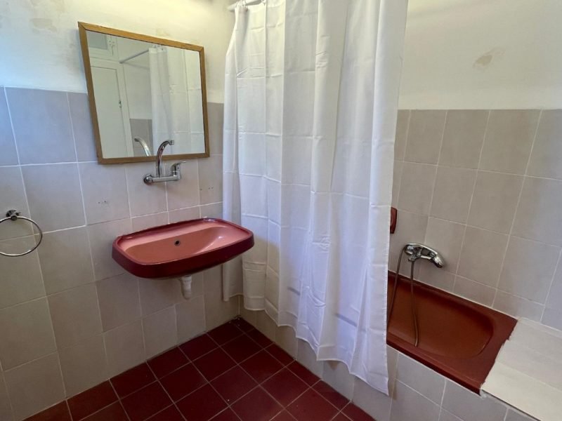 צילום מסך 2026-02-20 103814