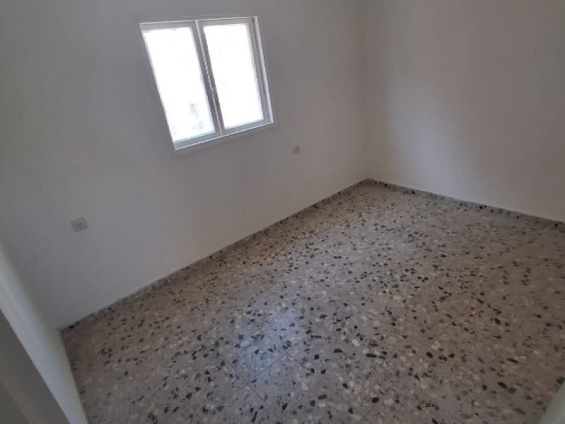 צילום מסך 2026-02-23 100113