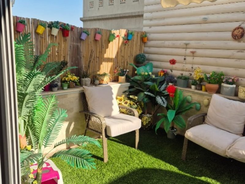 צילום מסך 2026-02-25 125846