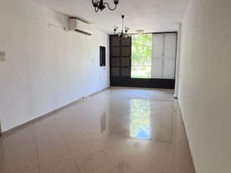 צילום מסך 2026-02-25 131903