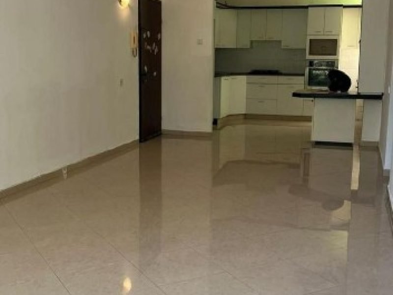 צילום מסך 2026-02-25 131916