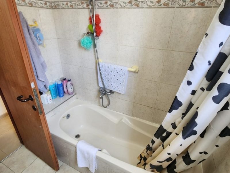 צילום מסך 2026-02-25 132700