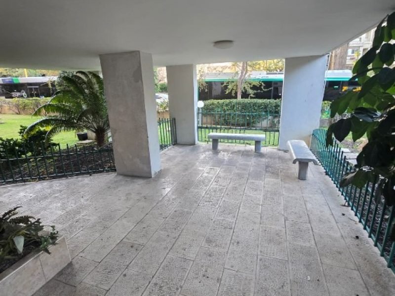 צילום מסך 2026-02-27 101415