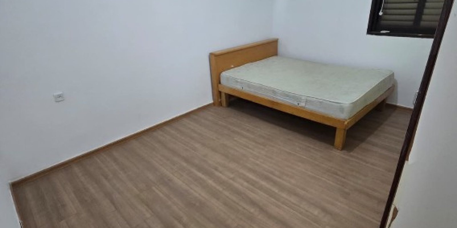 צילום מסך 2026-03-08 102436