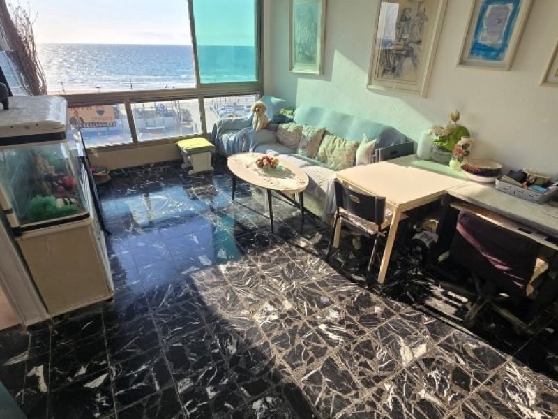 צילום מסך 2026-03-08 114832