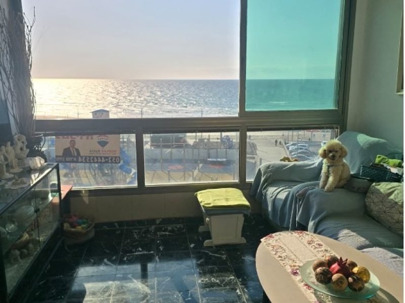 צילום מסך 2026-03-08 114854