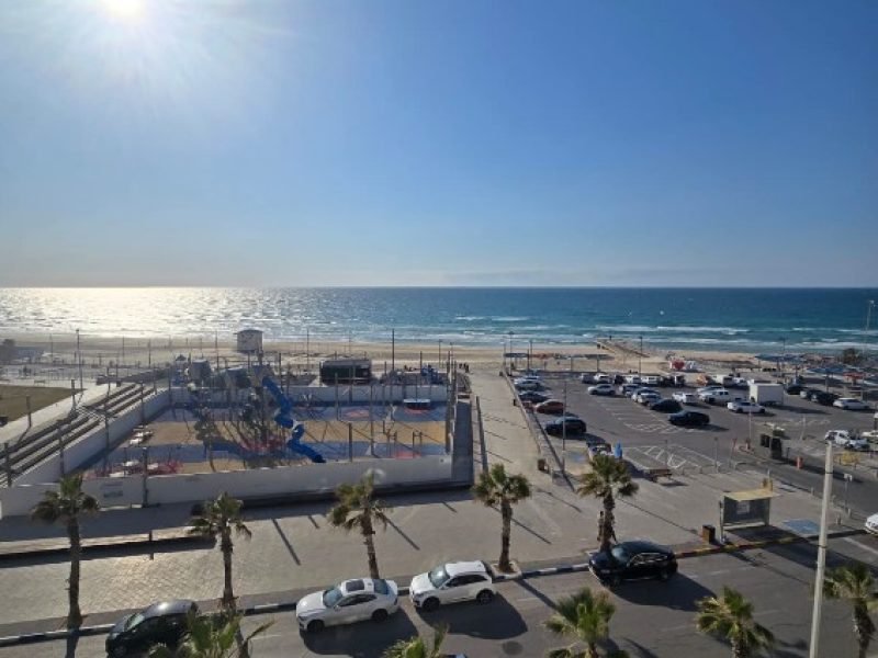 צילום מסך 2026-03-08 115018