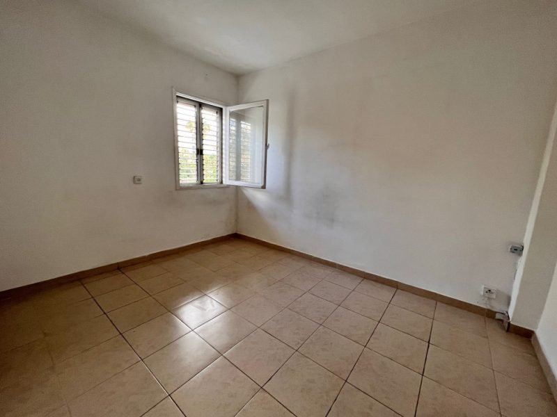 צילום מסך 2026-03-12 124539