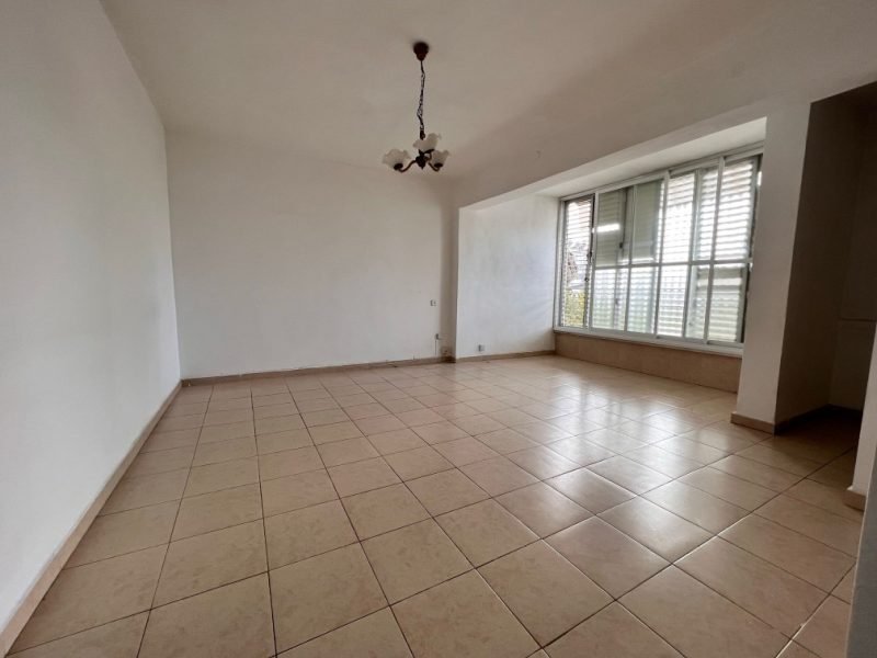 צילום מסך 2026-03-12 124552