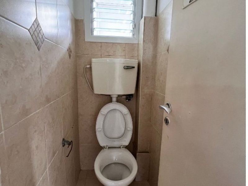 צילום מסך 2026-03-12 124629