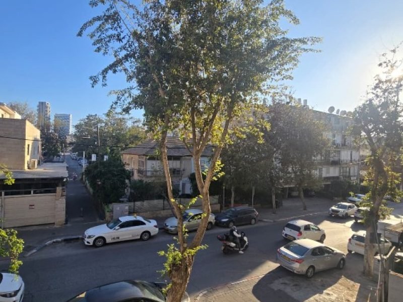 צילום מסך 2026-03-12 130036