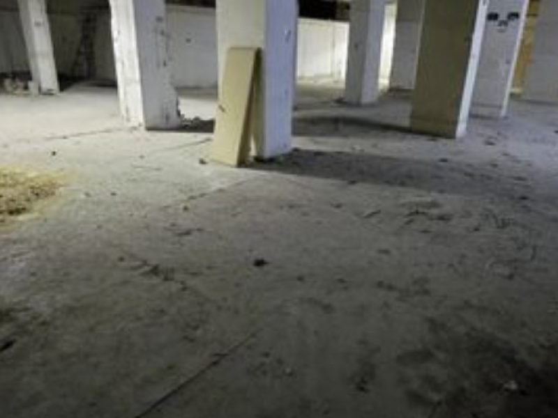 צילום מסך 2026-03-18 162119