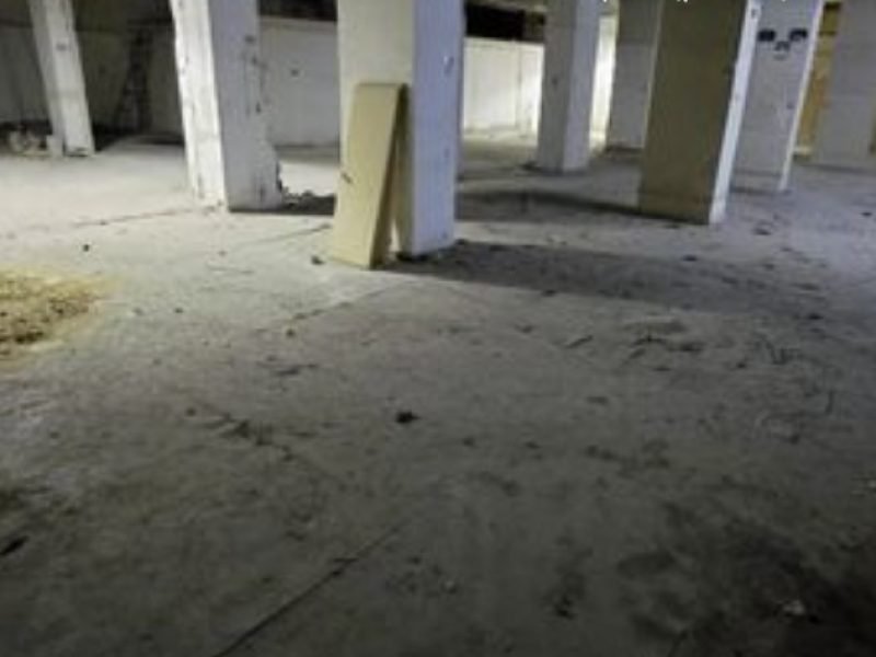 צילום מסך 2026-03-18 162135