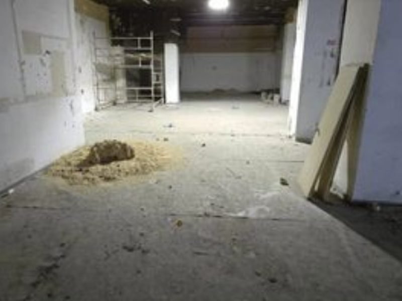 צילום מסך 2026-03-18 162216