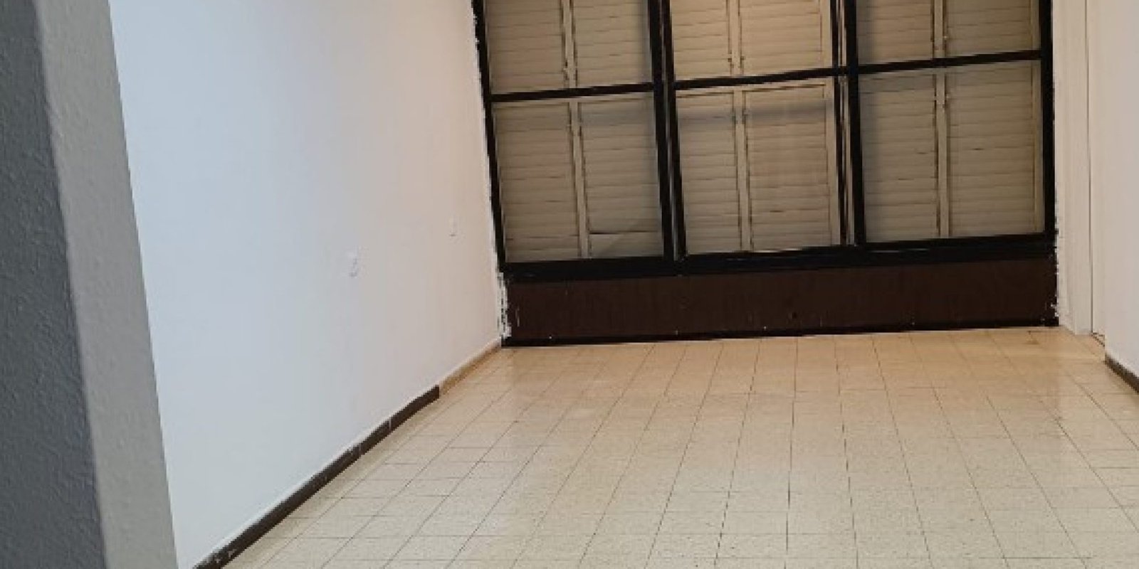 צילום מסך 2026-03-22 110456