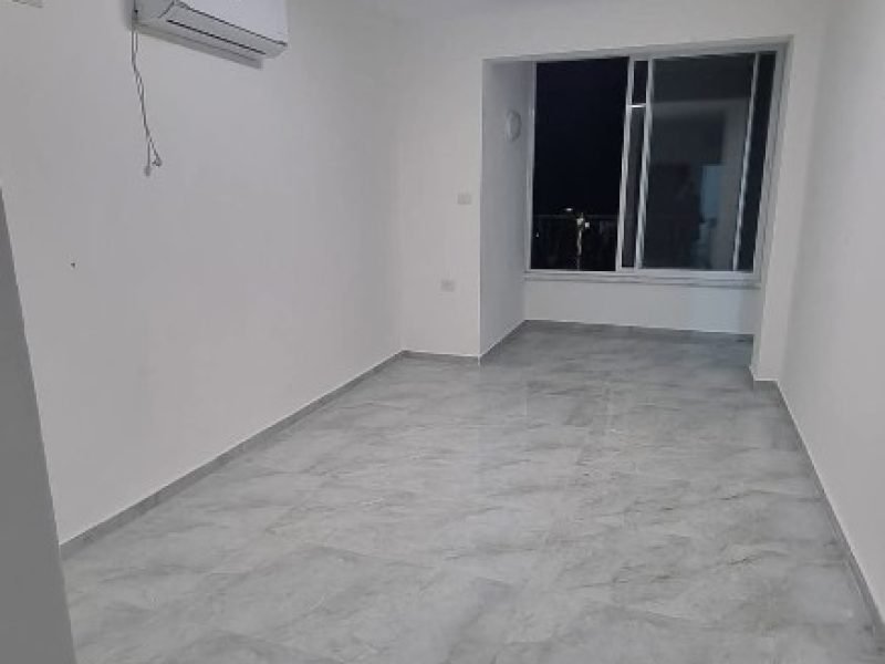 צילום מסך 2026-03-22 113811