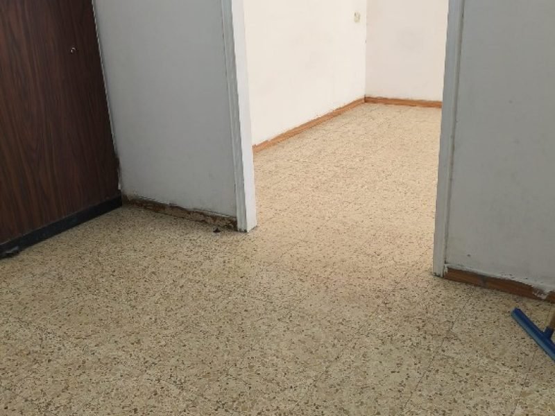 צילום מסך 2026-03-23 100131