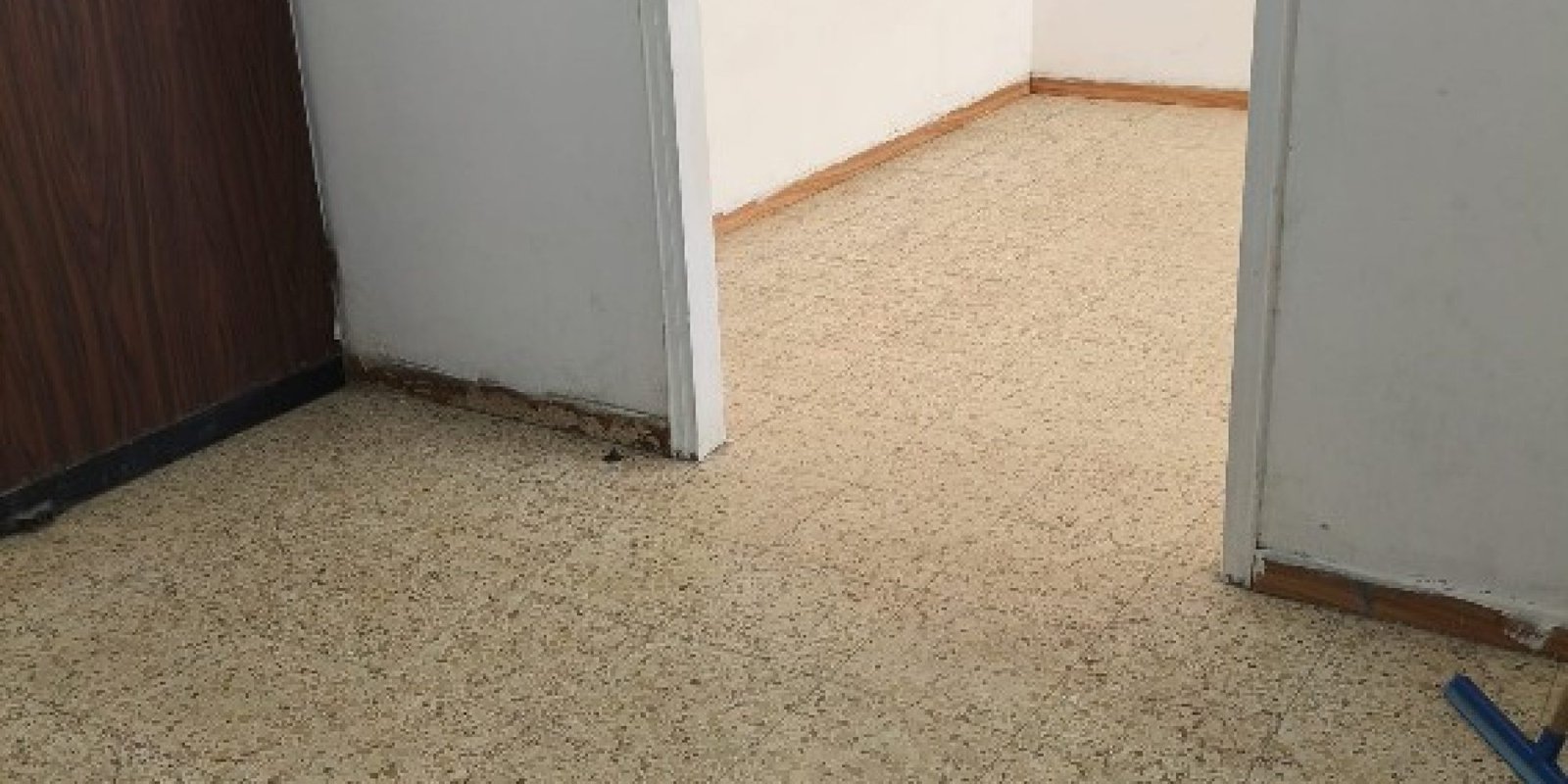 צילום מסך 2026-03-23 100131