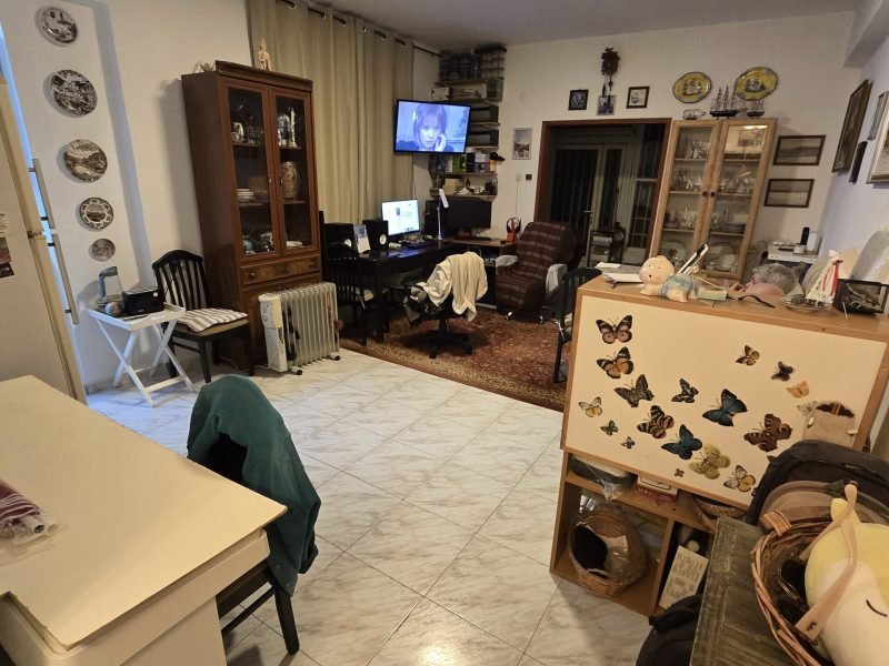 תמונה של WhatsApp‏ 2025-07-13 בשעה 11.59.32_a25b0fd0