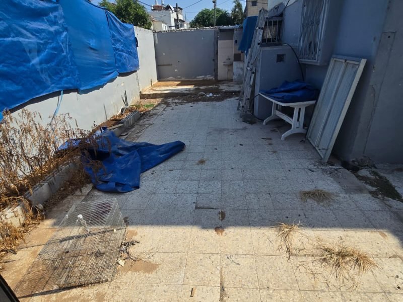 תמונה של WhatsApp‏ 2025-10-17 בשעה 12.43.32_869e2aff