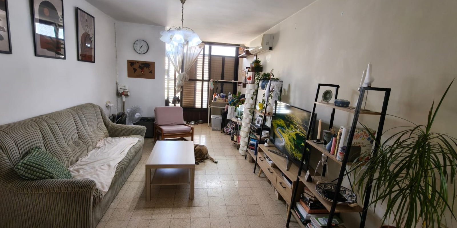 תמונה של WhatsApp‏ 2025-11-06 בשעה 12.20.25_3d4bdffa