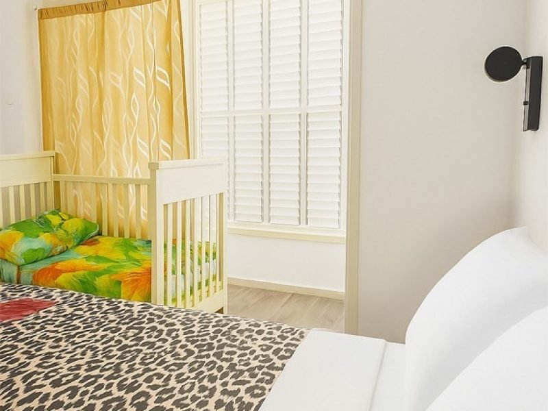 תמונה של WhatsApp‏ 2025-11-11 בשעה 14.00.36_3ed5027a